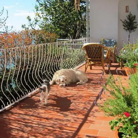 Seaside House Podaca, Makarska - 22964 Holiday home Podaca
